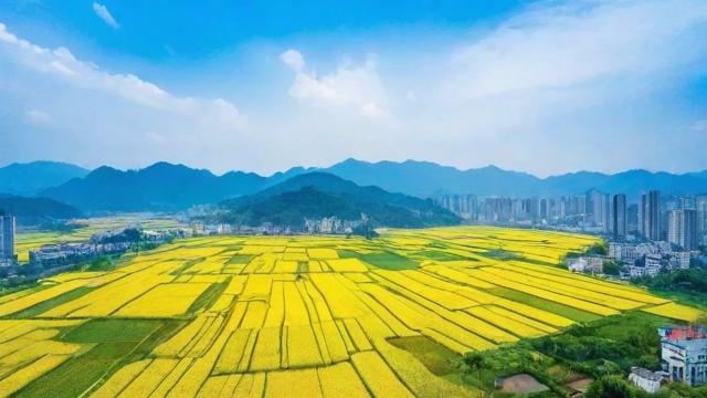 以下几个疑问句标题可供选择，，名字黄广什么究竟该如何取才好？，黄广后面加什么名字会比较好？，怎样给名字黄广搭配个好名字呢？