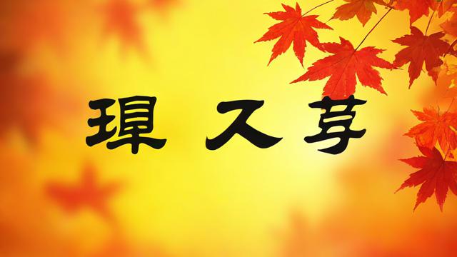 关于秋字，微信名字应该怎么取？